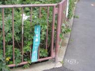 /article/11heisei/edogawaku/edogawaku-matsushima.jpg
