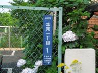 /article/11heisei/itabashiku/itabashiku-kaga.jpg
