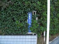 /article/11heisei/katsushikaku/katsushikaku-nishikameari.jpg