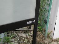 /article/11heisei/koutouku/koutouku-ariake.jpg
