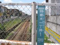 /article/11heisei/setagayaku/setagayaku-hanegi.jpg