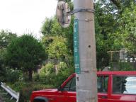 /article/11heisei/setagayaku/setagayaku-sakura.jpg