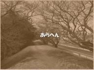 /article/11heisei/setagayaku/setagayaku-tamagawa.jpg