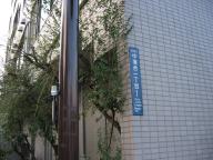 /article/11heisei/shinjyukuku/shinjukuku-nakaochiai.jpg