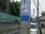 /article/11heisei/suginamiku/suginamiku-matsunoki.jpg