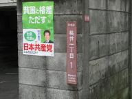 /article/11heisei/suginamiku/suginamiku-momoi.jpg