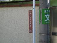 /article/11heisei/suginamiku/suginamiku-shimoigusa.jpg