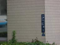 /article/11heisei/sumidaku/sumidaku-oshiage.jpg