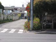 /article/11heisei/sumidaku/sumidaku-tsutsumidoori.jpg