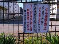 /article/tokyo35/adachiku/20111126_124936.jpg