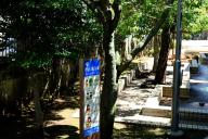 /article/tokyo35/edogawaku/20190616_093759.jpg