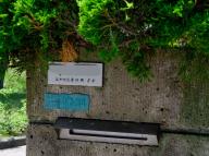/article/tokyo35/edogawaku/20190616_120835.jpg