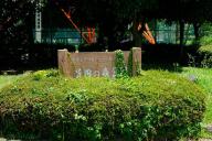 /article/tokyo35/edogawaku/20190616_133308.jpg