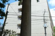 /article/tokyo35/hongoku/20130512_105826.jpg