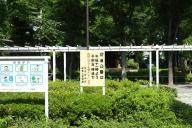 /article/tokyo35/hongoku/20130512_132909.jpg