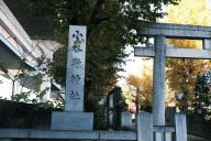 /article/tokyo35/katsushikaku/20221210_112536.jpg