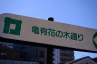 /article/tokyo35/katsushikaku/20230226_115617.jpg