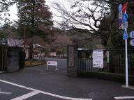 /article/tokyo35/koishikawaku/20110212_120420.jpg