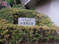 /article/tokyo35/koishikawaku/20110212_141253.jpg
