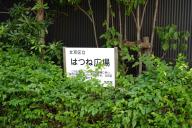 /article/tokyo35/koishikawaku/20120819_133511.jpg