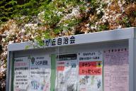 /article/tokyo35/meguroku/20190505_114701.jpg