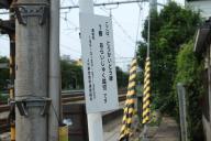 /article/tokyo35/omoriku/20130623_153101.jpg