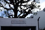 /article/tokyo35/setagayaku/20160221_110358.jpg