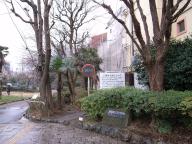 /article/tokyo35/shibaku/20100213_114518.jpg
