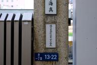 /article/tokyo35/shibaku/20190224_114556.jpg
