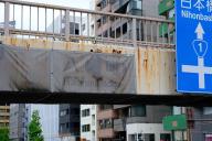 /article/tokyo35/shibaku/20190429_130832.jpg