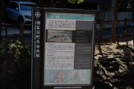 /article/tokyo35/shibaku/20240303_125219.jpg