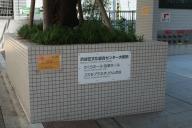 /article/tokyo35/shibuyaku/20130608_124219.jpg