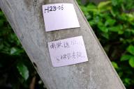 /article/tokyo35/shibuyaku/20150913_120500.jpg