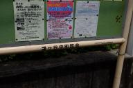 /article/tokyo35/shibuyaku/20160703_124823.jpg