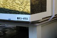 /article/tokyo35/shibuyaku/20190120_134029.jpg