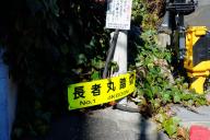 /article/tokyo35/shinagawaku/20150103_113701.jpg