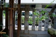 /article/tokyo35/shitayaku/20140721_113157.jpg