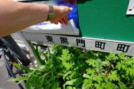 /article/tokyo35/shitayaku/20160529_121347.jpg