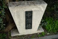 /article/tokyo35/suginamiku/20230311_123611.jpg