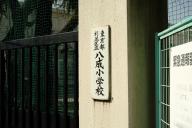 /article/tokyo35/suginamiku/20230311_140613.jpg