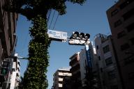 /article/tokyo35/toshimaku/20220430_152633.jpg