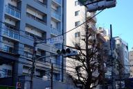 /article/tokyo35/yodobashiku/20160109_104539.jpg