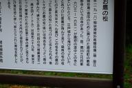 /article/tokyo35/yotsuyaku/20150315_102821.jpg