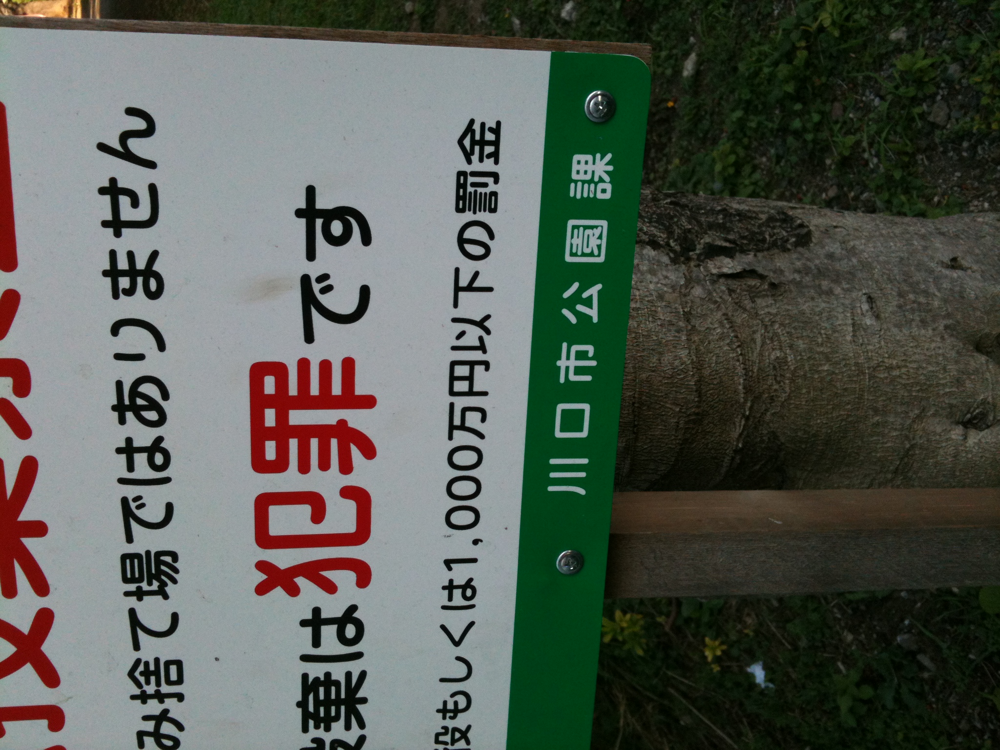 ちょっとだけ川口