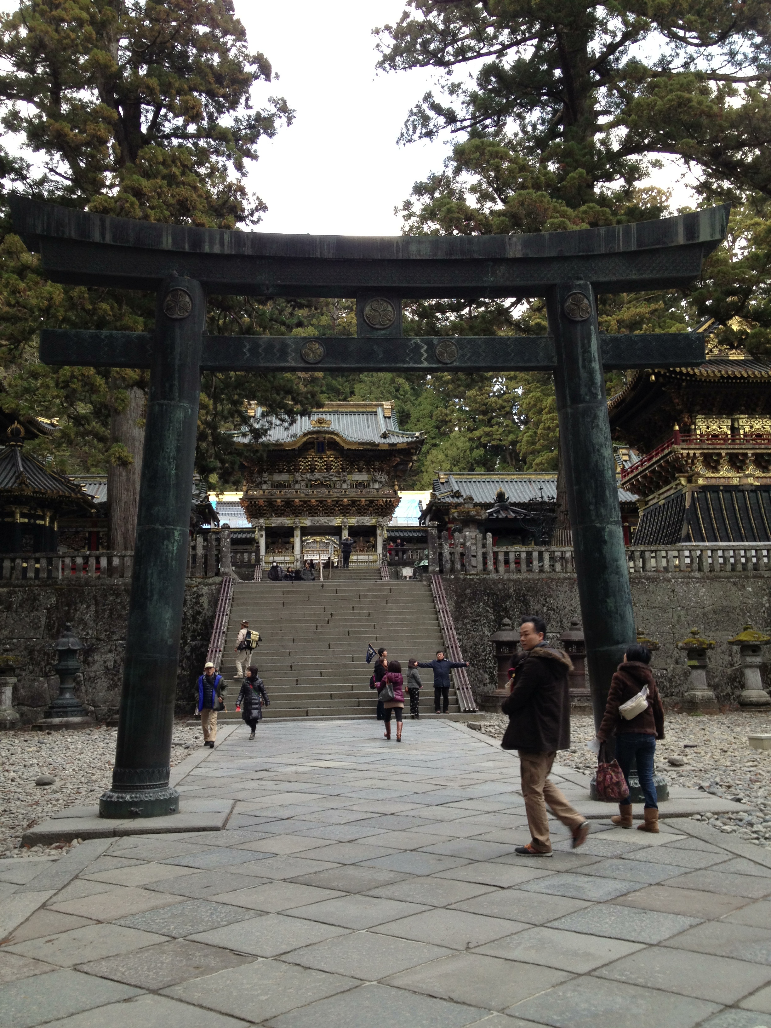 日光