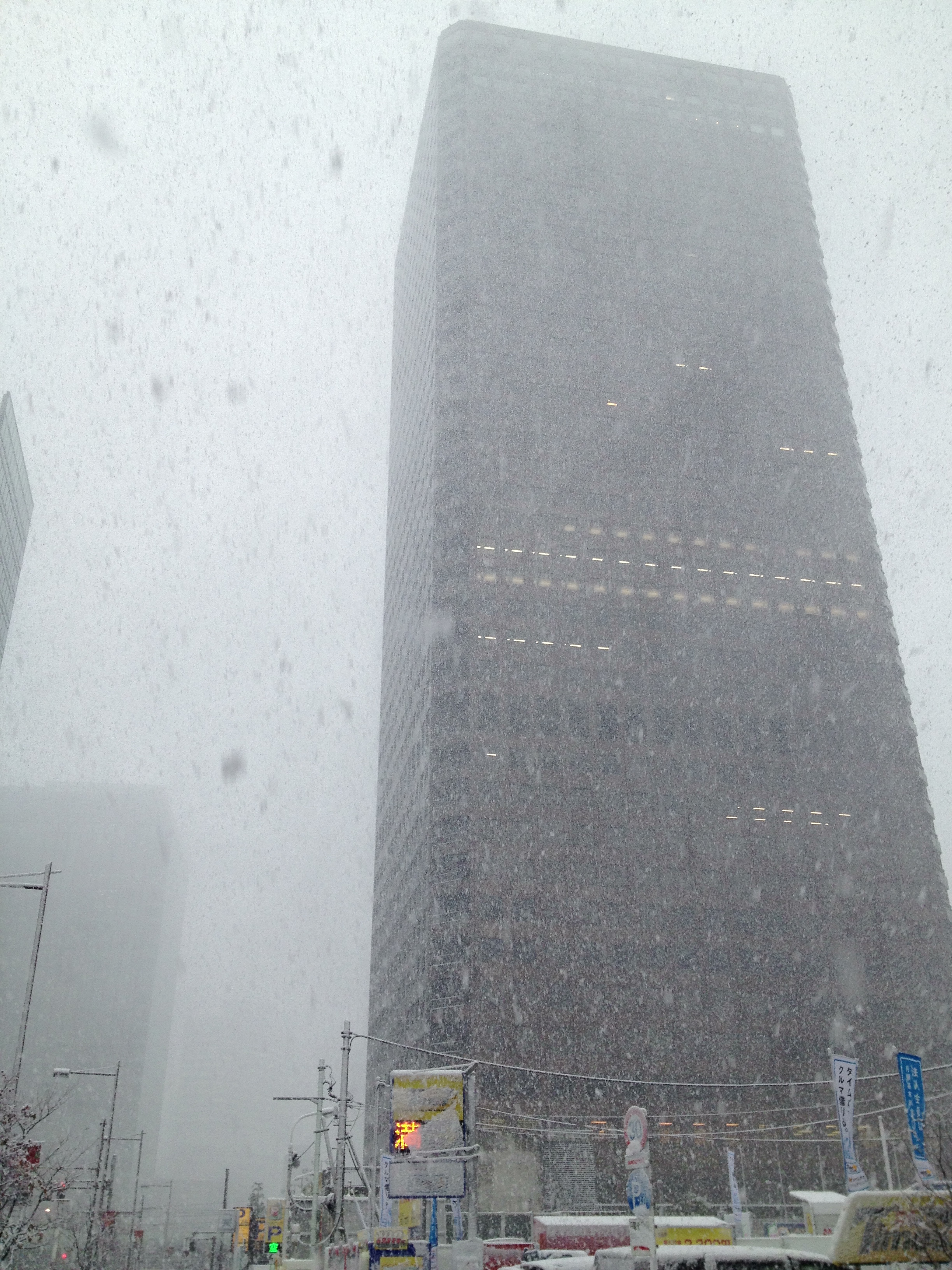 東京雪景色