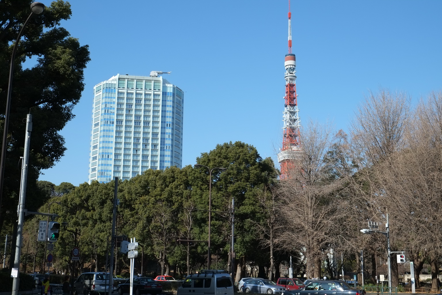 芝を散歩