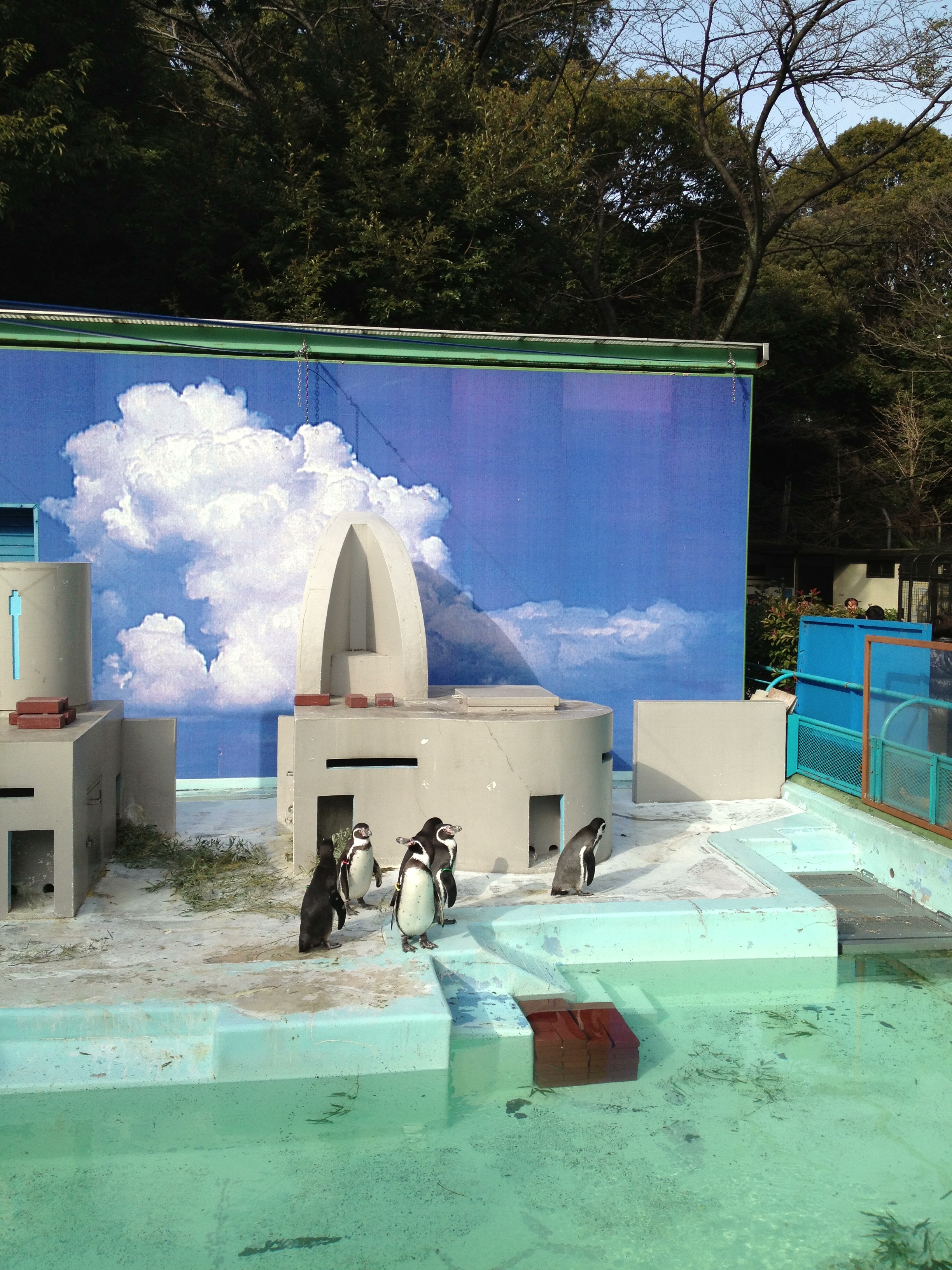 野毛山動物園