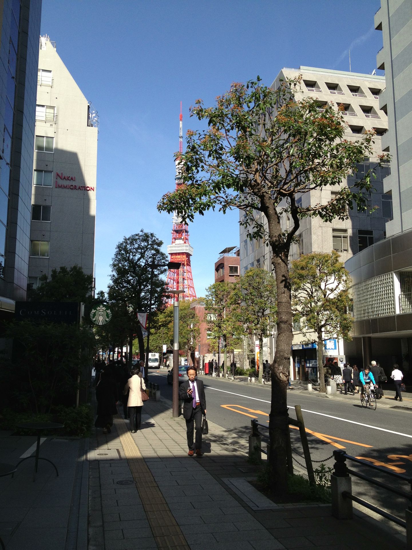 春らしくなってきた