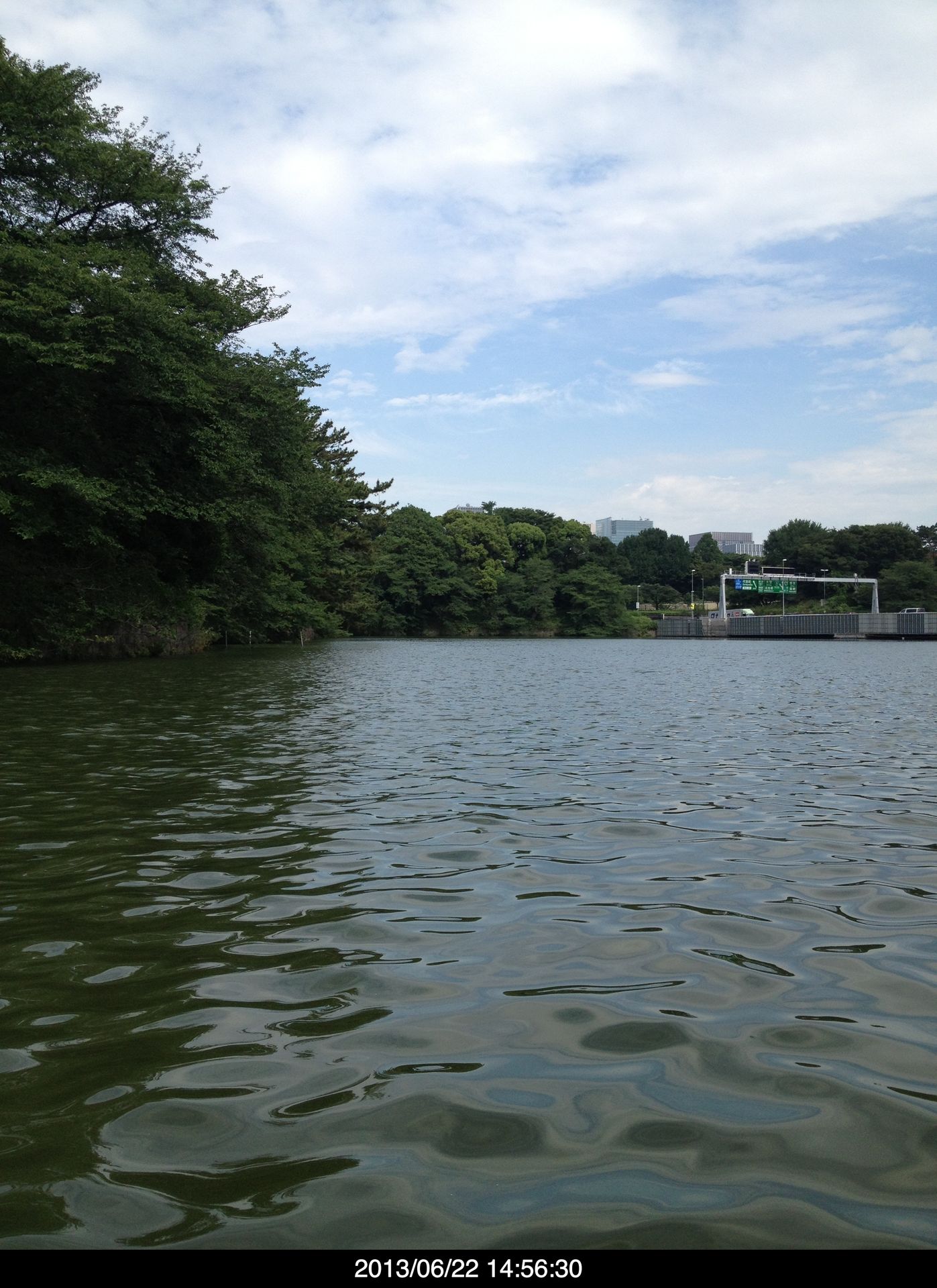千鳥ヶ淵